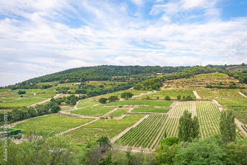 Vines and farming in the Rhone Valley, France