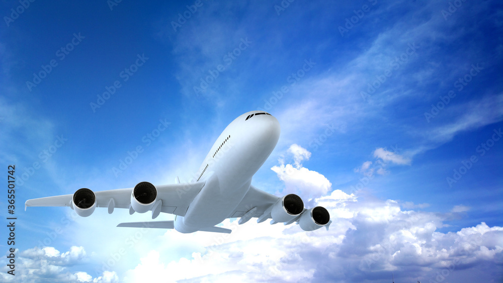 Obraz premium airplane in the clouds