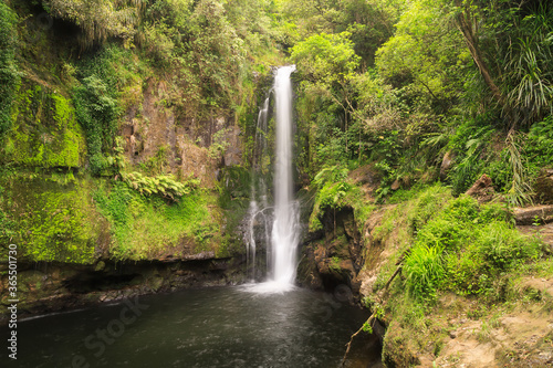 Kaiate Falls ("Te Rerekawau") in the Bay of Plenty, New Zealand, a classic "horsetail" waterfall that cascades into a deep pool