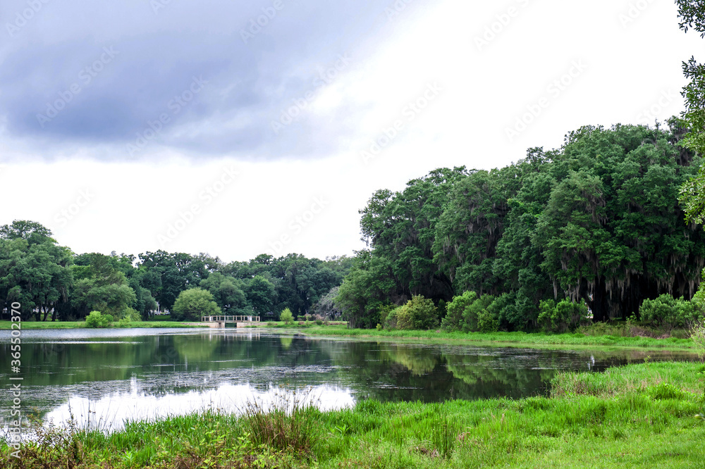 The beautiful central state park,Tallahassee Florida