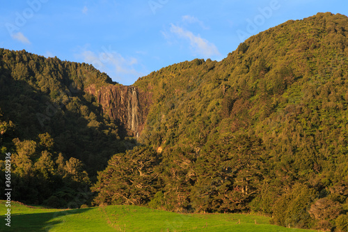 The Wairere Falls, the highest in the North Island of New Zealand, cascading from the Kaimai Mountains. Photographed in sunset light photo