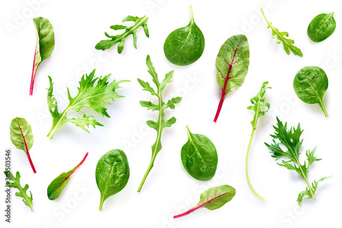 Fresh salad leaves