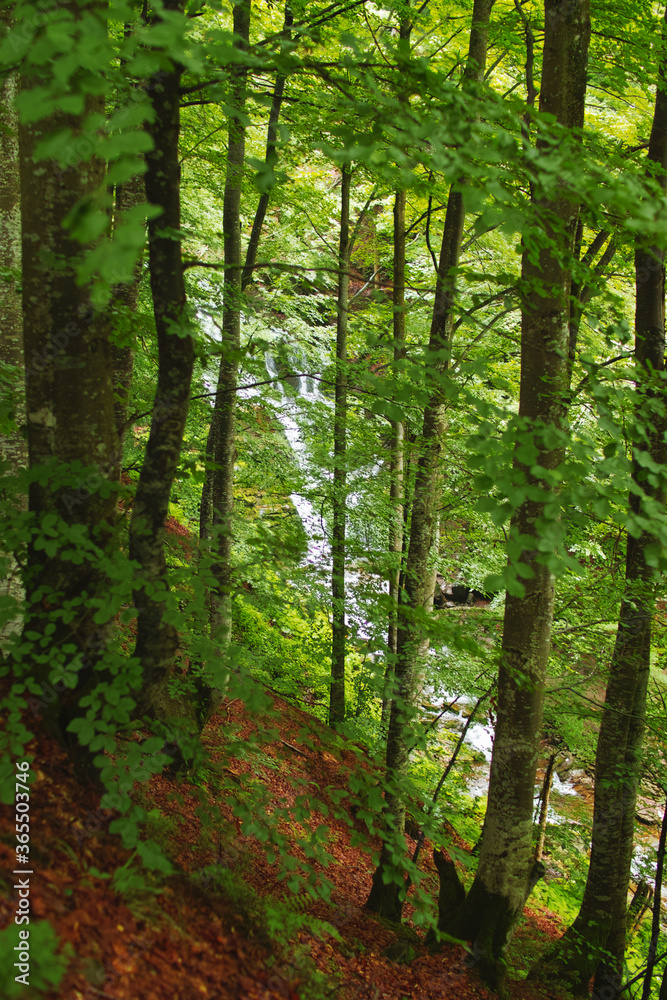 Waterfall in the mountains of the Carpathians. Waterfall in the mountains of the Carpathians.