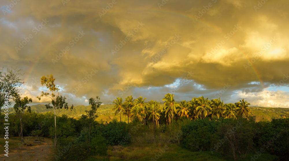 Obraz premium coucher de soleil sur la cocoteraie et arc en ciel dans les nuages