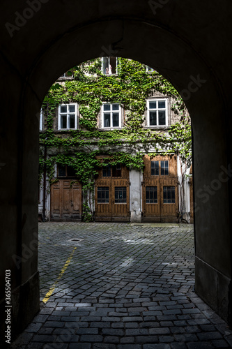 Fototapeta Naklejka Na Ścianę i Meble -  Courtyard Of A HIstoric Building With Ivy Overgrown Walls