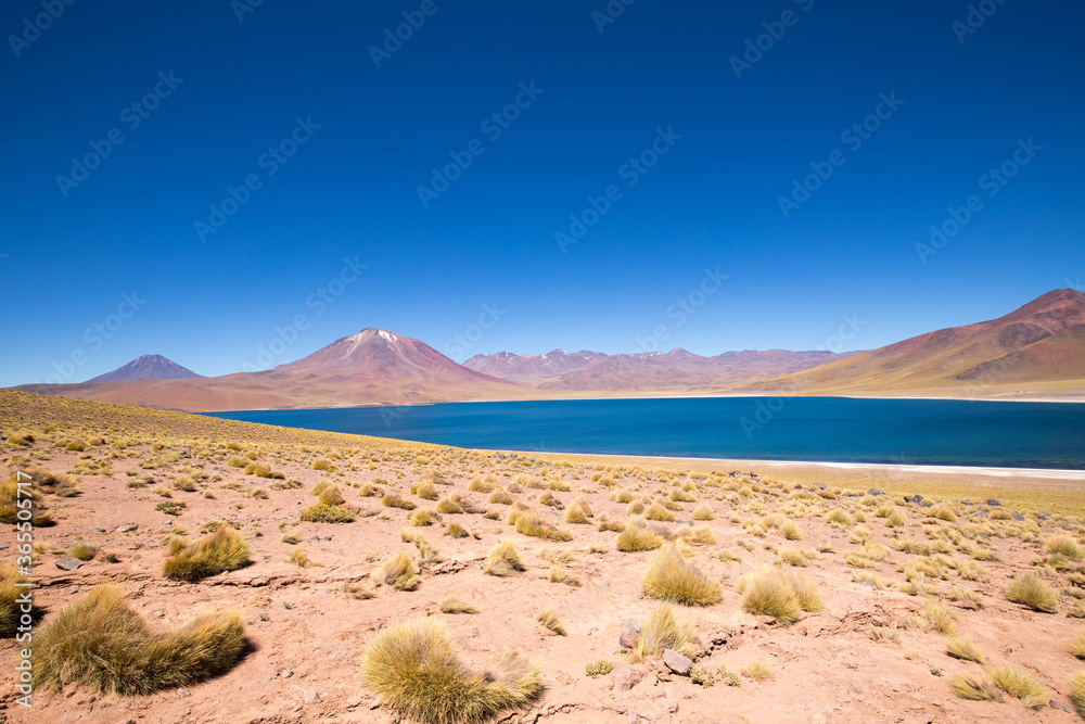 Lagoons Miscanti and Miñiques. Natural landscape of the Chile highland. San Pedro de Atacama. Atacama Desert, Chile