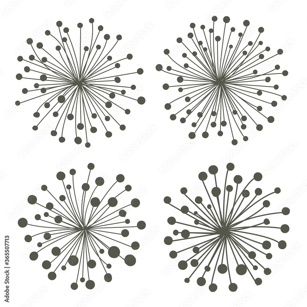 Obraz premium isolated dark silhouette firework of dandelion for pattern, background, wallpaper, texture, label, banner, cover etc. vector design.