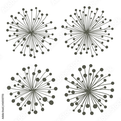 isolated dark silhouette firework of dandelion for pattern, background, wallpaper, texture, label, banner, cover etc. vector design.