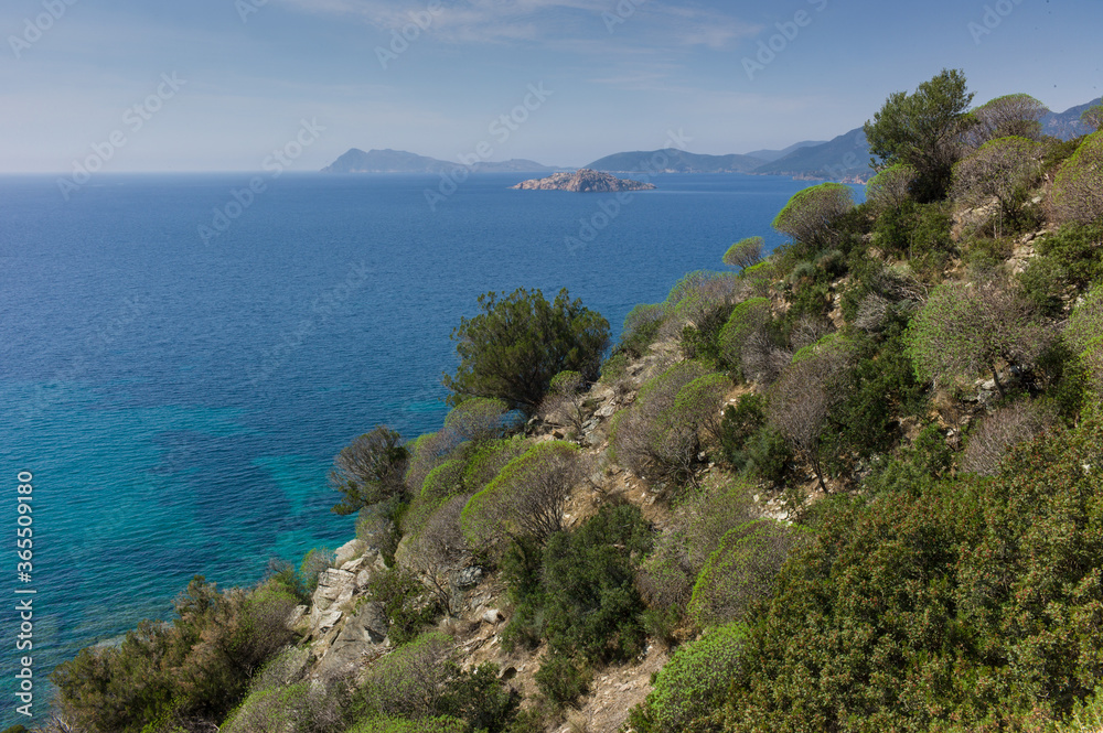 View of the clear blue sea from the Italian island of Sardinia in the Mediterranean in summer