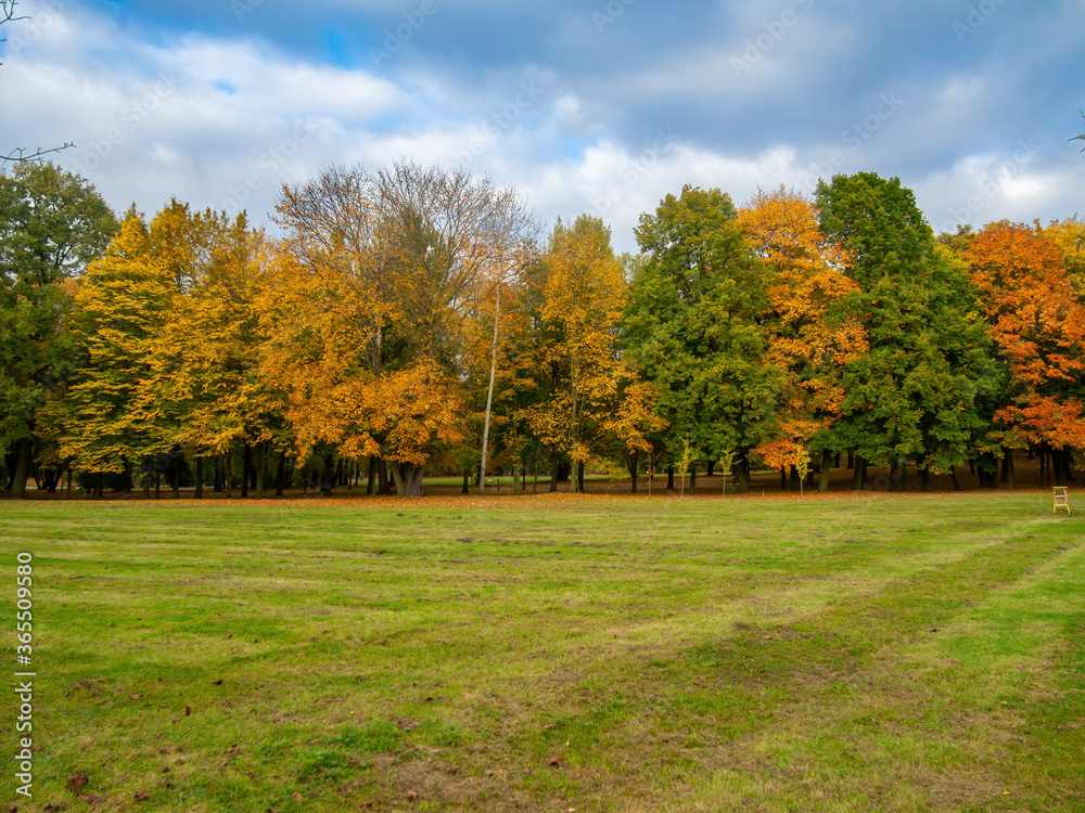Green grass land and trees with autumn colors