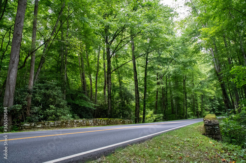 Road through Smokey Mountains National Park, North Carolina