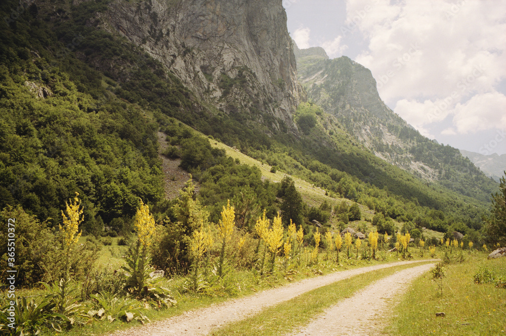 Panoramic view of the mountains of the Prokletije National Park in Montenegro. Real grain scanned film.