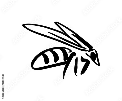 Wasp bee. Insect sketch.