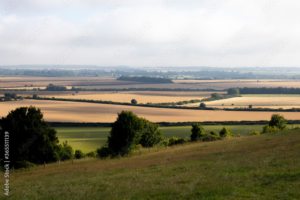 Early morning summer mist over farmland with newly planted wheat crop and grassland on the outskirts of West Tytherley village in rural Hampshire