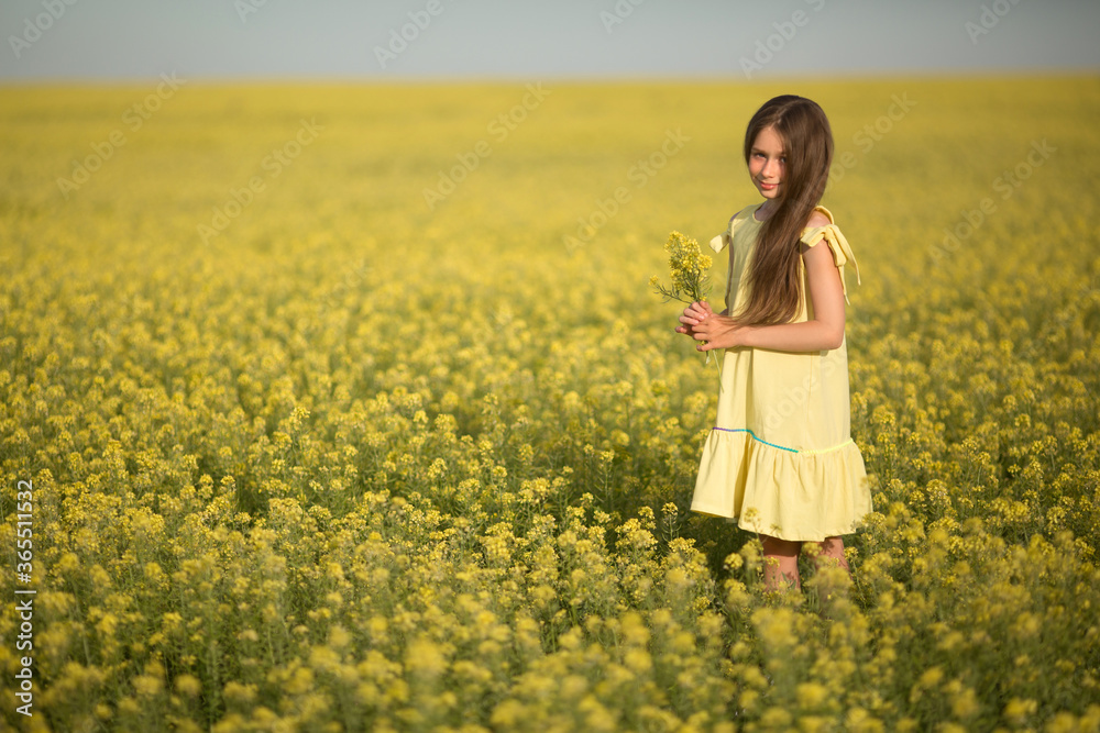 teenage girl in a yellow dress picks flowers in a yellow field in summer teenage girl in a yellow dress picks flowers in a yellow field in summer