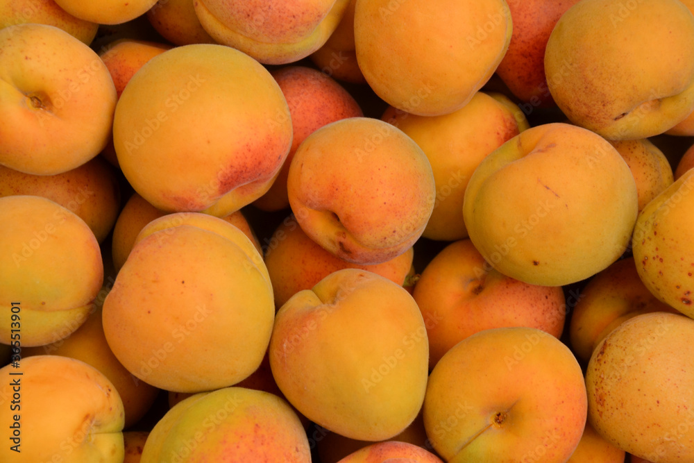 Apricots background. Fresh organic apricot fruits. Countryside garden harvest. Fruit salad, smoothie, pie and jam ingredient. Apricots background. Fresh organic apricot fruits. Countryside garden harvest. Fruit salad, smoothie, pie and jam ingredient.