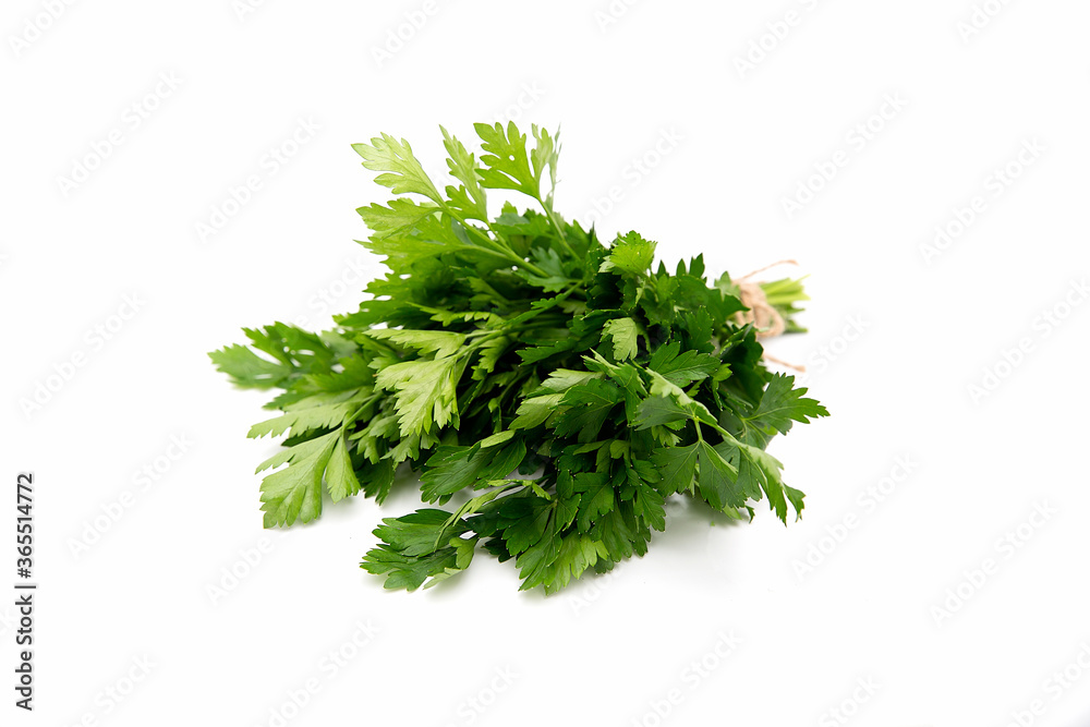 Bunch of green parsley leaves on white background. Side view Bunch of green parsley leaves on white background. Side view
