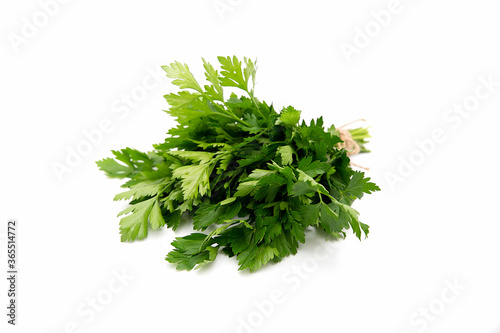 Bunch of green parsley leaves on white background. Side view