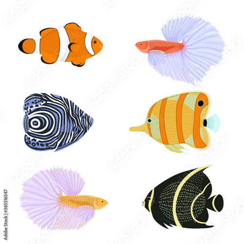 Exotic fishes cartoon collection. Vector set with tropical fishes in flat style.