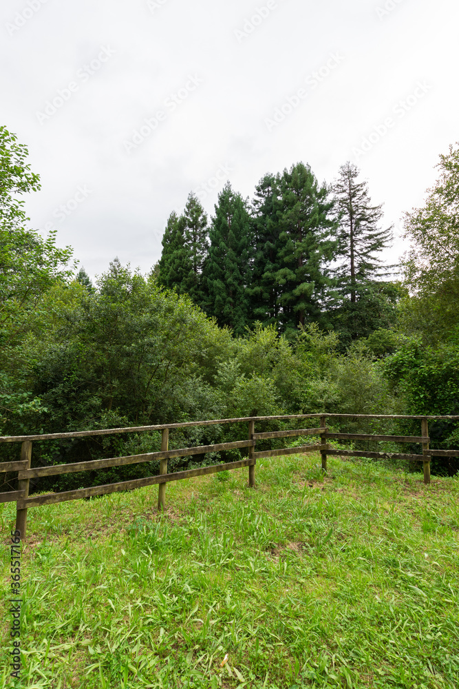 View of wooden fence in a green field surrounded by trees in Cantabria, Spain, vertically