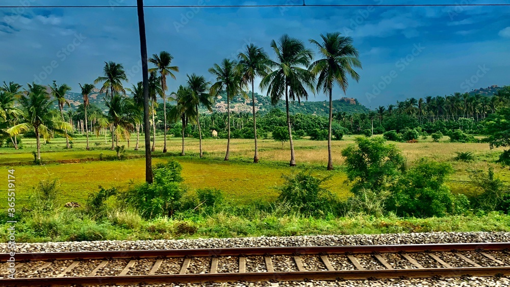 Obraz premium Farmlands and vegetation in India. From the tracks.