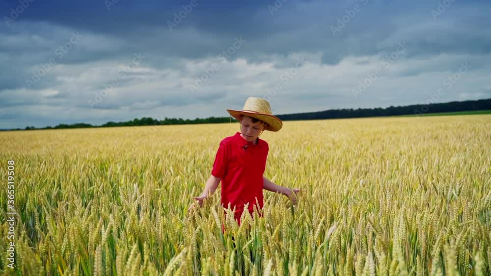 Teenager on a wheat field. Boy in a red t-shirt and a straw hat is walking on the field in summer. Agriculture concept. Teenager on a wheat field. Boy in a red t-shirt and a straw hat is walking on the field in summer. Agriculture concept.