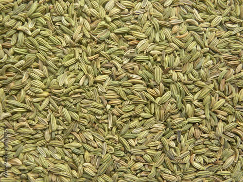 Green color raw fennel seeds