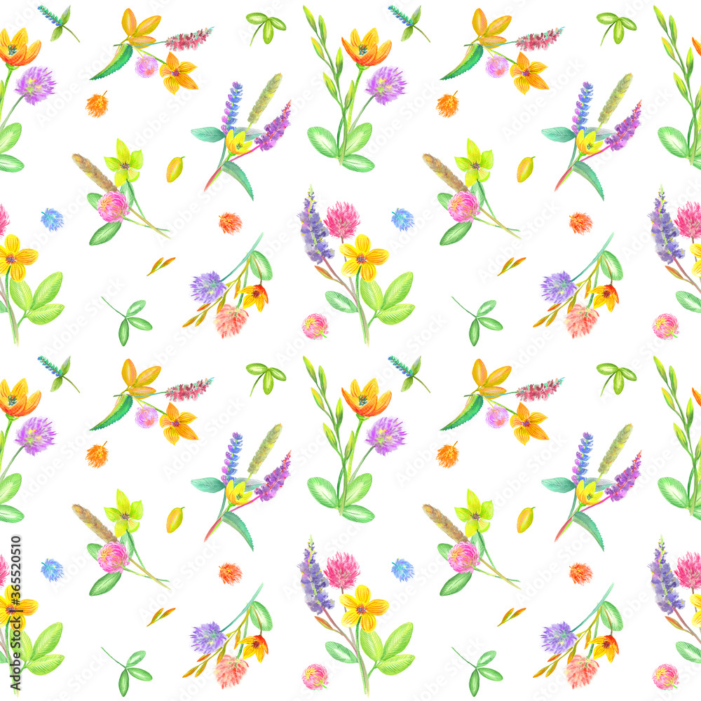 Fototapeta premium Watercolor colorful pattern with elegant bouquets of summer flowers, spikelets blades of grass and leaves. White background.