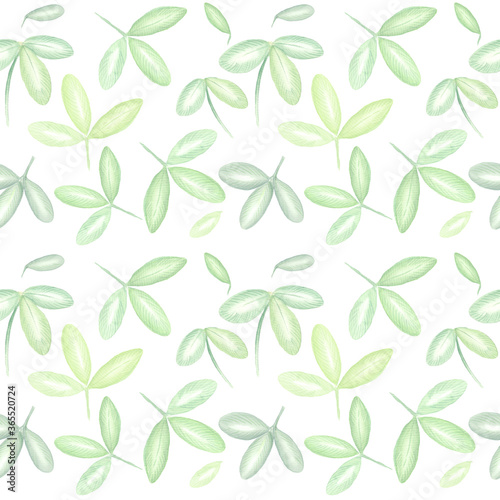 Watercolor colorful pattern with summer wild flowers leaves. White background