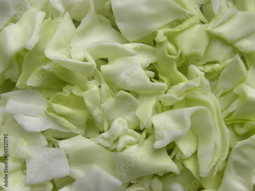 Green and white color raw chopped cabbage
