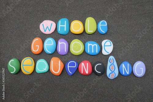 Whole genome sequencing text composed with multicolored stone letters over black volcanic sand