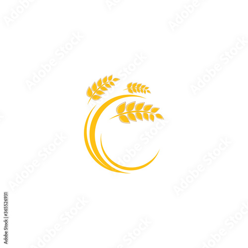 Wheat Logo Template vector symbol © evandri237@gmail