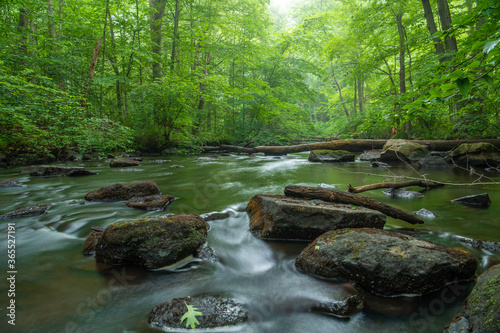 Dreamy black river flowing through the rocks featuring foggy trees on the background