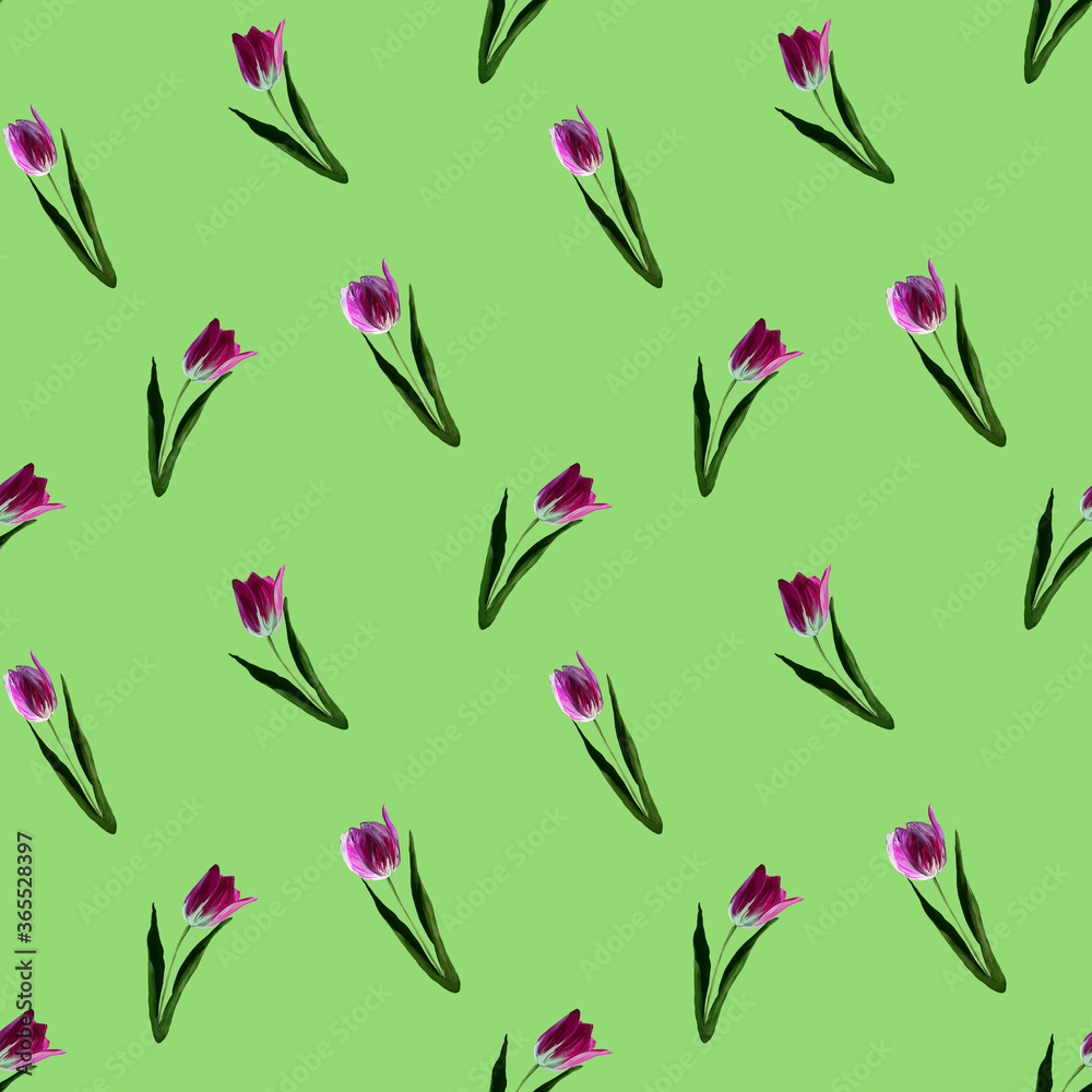 Obraz premium Gouache floral tulip backgraund. Seamless colorful spring pattern. Painted violet tulip plant on light green background. Purple blossom. .