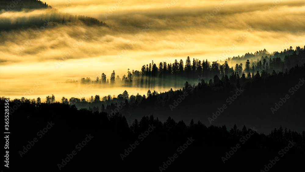 A hazy sunrise in the mountains. Mountains silhouettes and fog in the valleys. Photo from Polonina Wetlinska. Bieszczady National Park. Carpathians. Poland. A hazy sunrise in the mountains. Mountains silhouettes and fog in the valleys. Photo from Polonina Wetlinska. Bieszczady National Park. Carpathians. Poland.