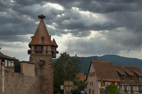 Storchennest in Chatenois im Elsass photo