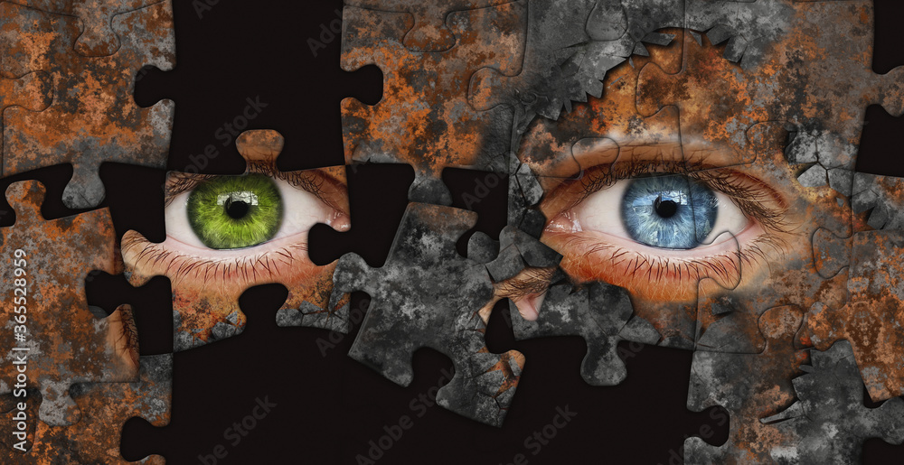 human puzzle eyes
