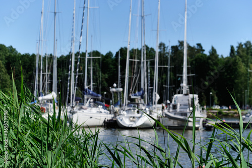 Obraz na płótnie The grass on the blurred background with yachts w salonie