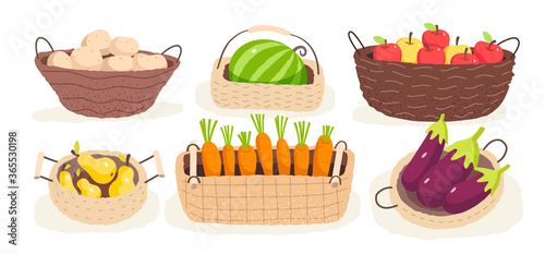 Set of fresh vegetables and fruits in the basket. Harvest. Potato. Watermelon. Carrot. Pears. Apples. Eggplants. Vector illustration of food on a white background.