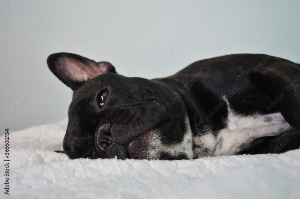 Lebron descansando