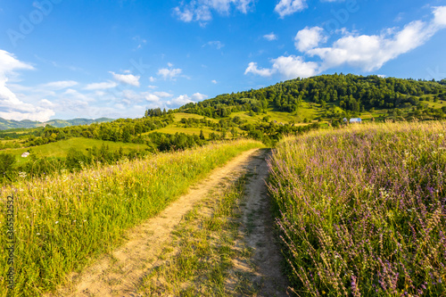 Beautiful rural landscape in summer light.