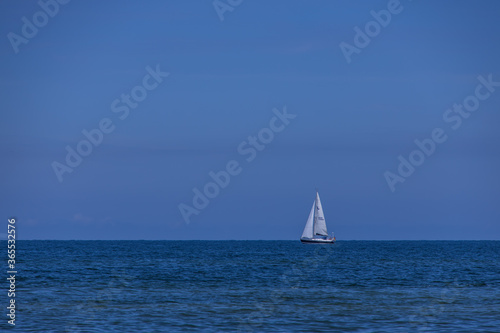 summer landscape from the Baltic Sea with blue water and sky and a white sailboat