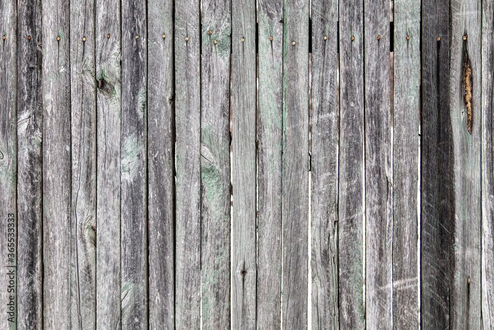 Fototapeta premium Wooden boards on an old fence as an abstract background.