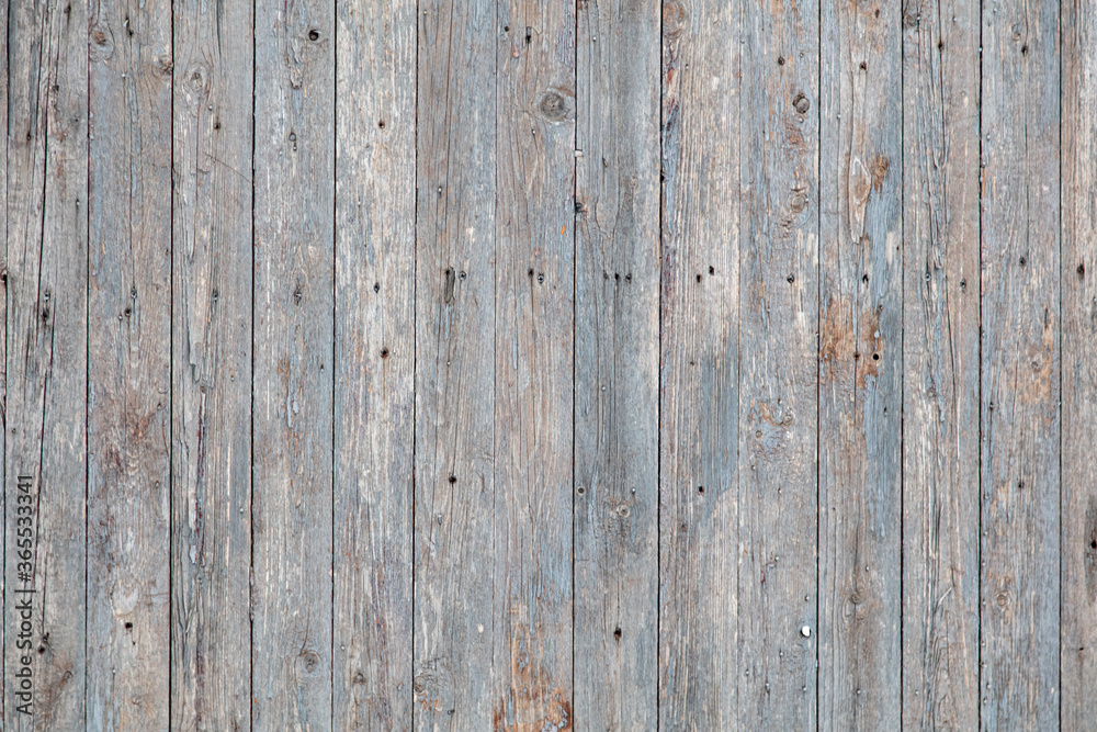 Fototapeta premium Wooden boards on an old fence as an abstract background.