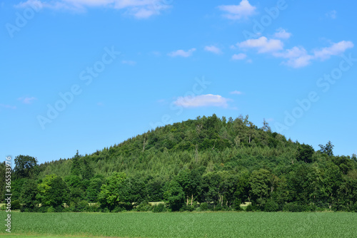 A gentle green calm hill with trees and bushes, in summer against a blue sky with clouds