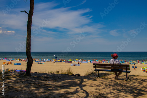 Fototapeta Naklejka Na Ścianę i Meble -  view from the escarpment to the beach on the Baltic Sea on a summer day with people
