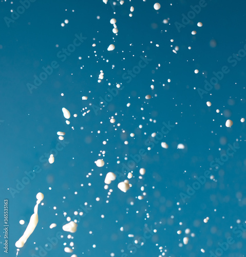Wallpaper Mural Splashes of white milk isolated on a blue background. Torontodigital.ca