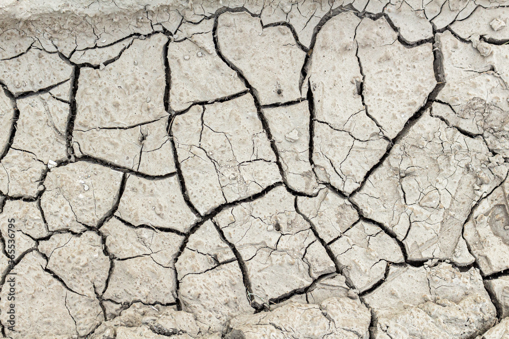 Cracked dried earth texture background, close up.