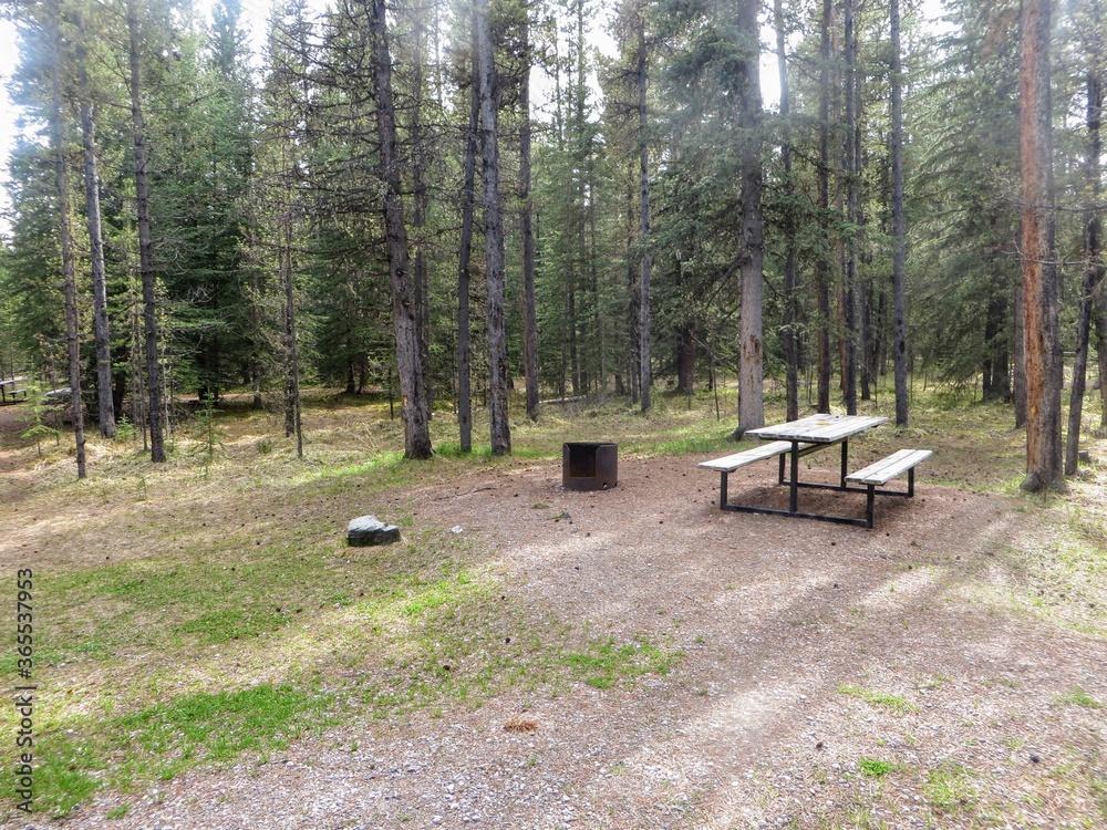 a photo of a standard campground with a picnic table, firepit and tentpad area.  The campground is empty with no people and surrounded by trees