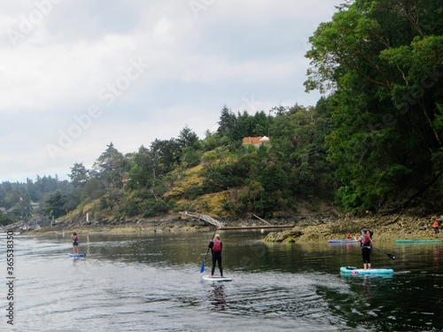  A group of people on their paddle boards paddling along Tod Inlet, on a cloudy summer day of of Vancouver Island, British Columbia, Canada